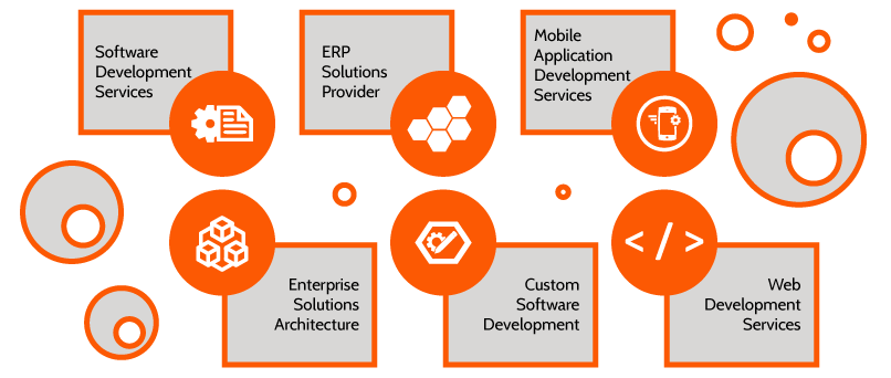 software-infographic